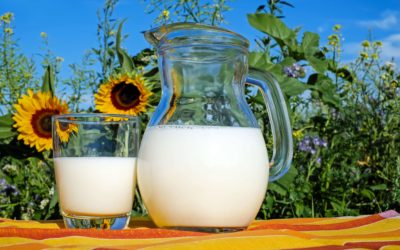 Los alimentos lácteos son clave para el crecimiento y formación de huesos