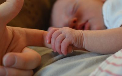 La importancia de la conservación de las células madre