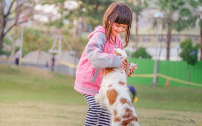 Normas de seguridad para la convivencia entre perros y niños