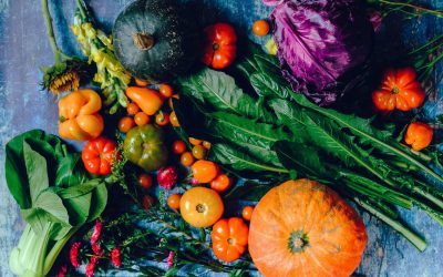 Aumente el consumo de vegetales en la alimentación de su hijo