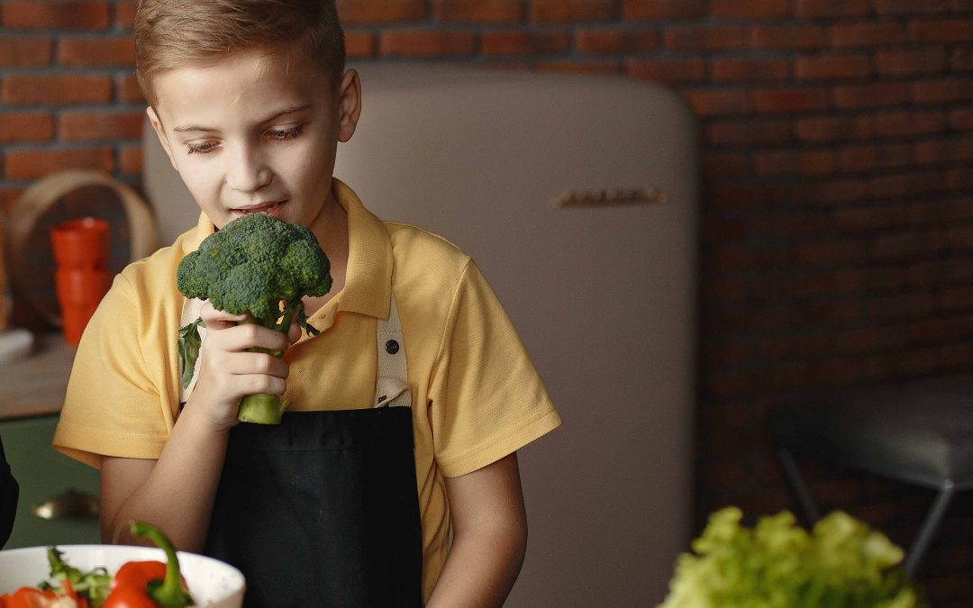 Importancia del Hierro en la dieta de los niños