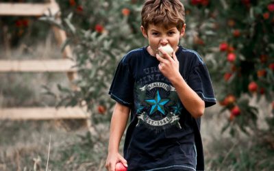 Nutrición en niños de 9 a 13 años de edad
