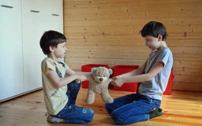 Peleas y celos entre hermanos. ¿Cómo manejarlas y qué hacer para mejorar la relación entre ellos?